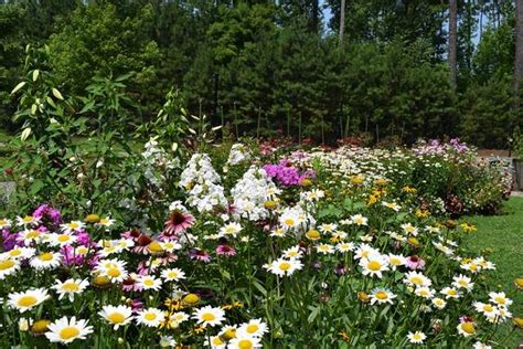 Last updated may 05, 2019. Williamsburg Botanical Garden Field Trip - Dr. Donna Ware ...