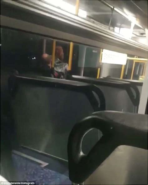 Couple Filmed Having Sex On Adelaide Bus By Another Passenger Daily