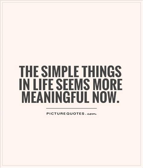 The Simple Things In Life Seems More Meaningful Now Picture Quotes