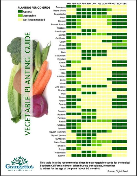Veggie Planting Guide For Southern California Vegetable Planting