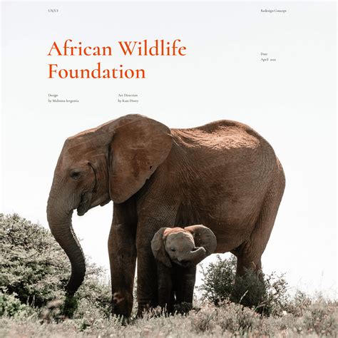 African Wildlife Foundation On Behance