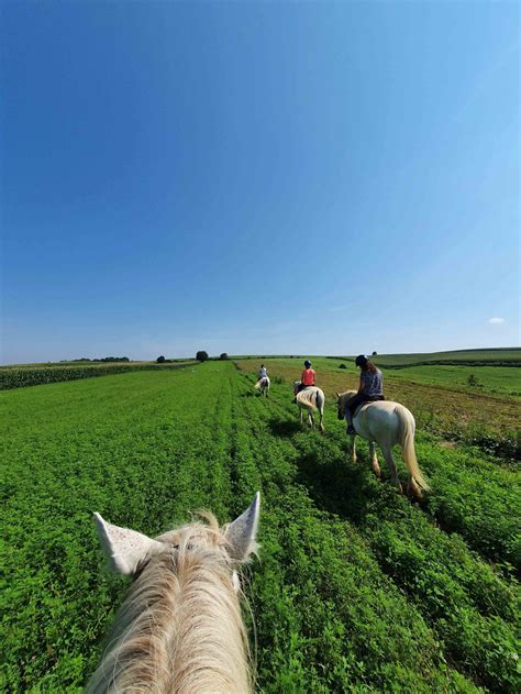Horseback riding | Hotel Mirjana - Rastoke