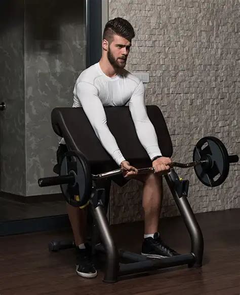 Discover Preacher Curl Muscles Worked Plus 3 Exercise Variations