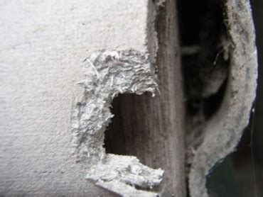 Asphalt shingles usually contain small amounts of asbestos. Identifying asbestos in the building | Architecture & Design