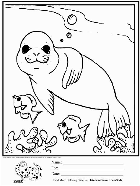Supercoloring.com is a super fun for all ages: Seal Coloring Pages | Halloween coloring pages, Farm ...