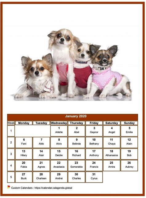 Calendar January 2020 Dogs Calendrier Janvier Calendrier Calendrier