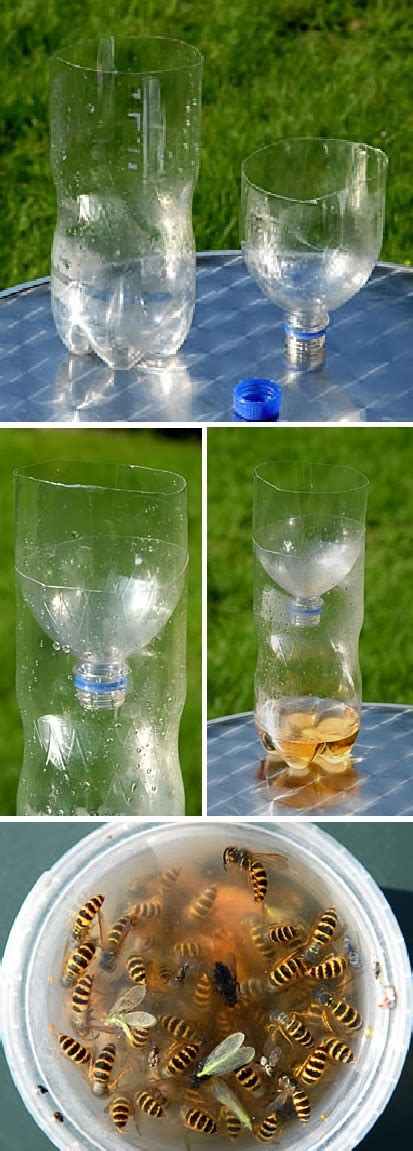 How To Make A Wasp Trap