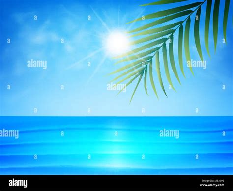 Tropical Beach With Palm Leaf Smoot Ocean Water Clouds And Sun