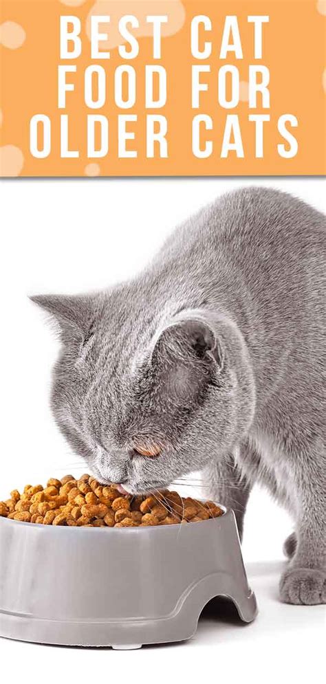 Best Cat Food For Older Cats Choosing The Right Senior