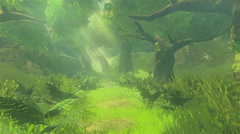 Korok Forest Zeldapedia Fandom Powered By Wikia