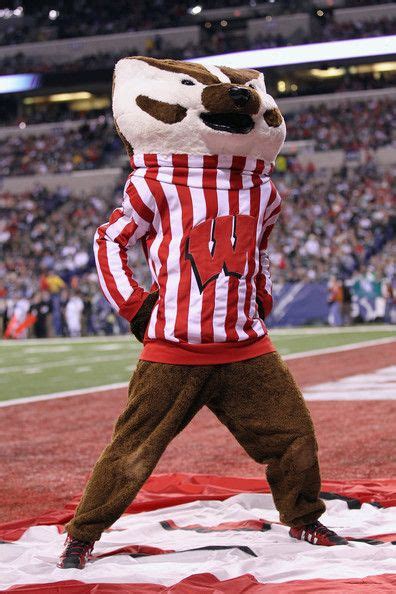 Bucky Badger Of The University Of Wisconsin Nbcsports Ncaa Football