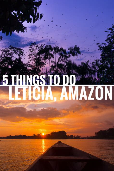 31 Exciting Things To Do In Leticia Colombian Amazon Bizarre Globe
