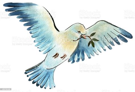 Please use and share these clipart pictures with your friends , page 9. Watercolor Illustration Of A Bird Dove Stock Illustration ...