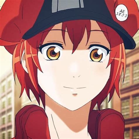 Anime Look Alike List 1 Anime Amino