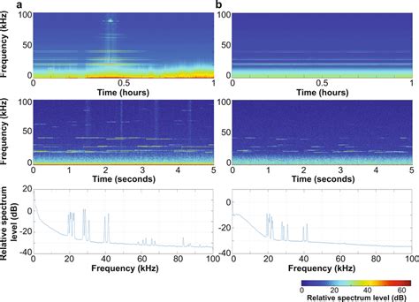 Ultrasonic Antifouling Signal Long Term Spectral Average Top