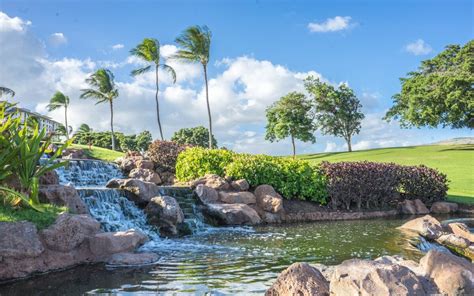 Hawaii Landscape Design Landscape Ideas