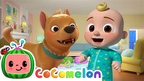 Bingo Cocomelon Animals Animals For Kids Youtube