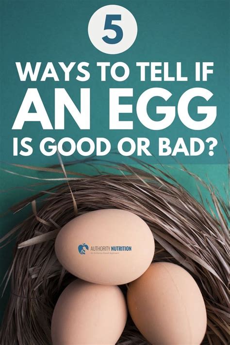 It Can Be Difficult To Tell Whether An Egg Is Good Or Bad However You