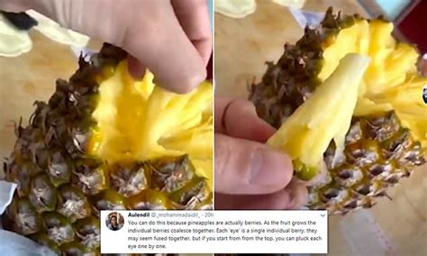 Video Showing Correct Way To Eat A Pineapple Goes Viral Daily Mail
