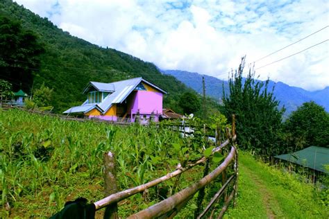 Darap Village West Sikkim Sikkim Tourism 2023 How To Reach Darap