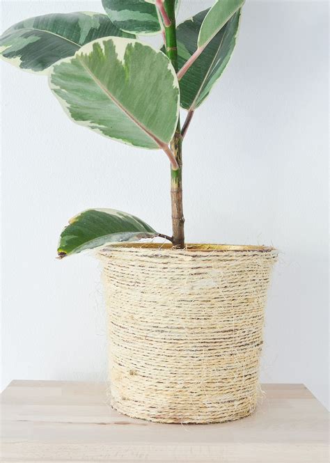Strapped in and sent beautifully packaged without the nasties. Transform An Old Plant Pot Into A Trendy Sisal Planter