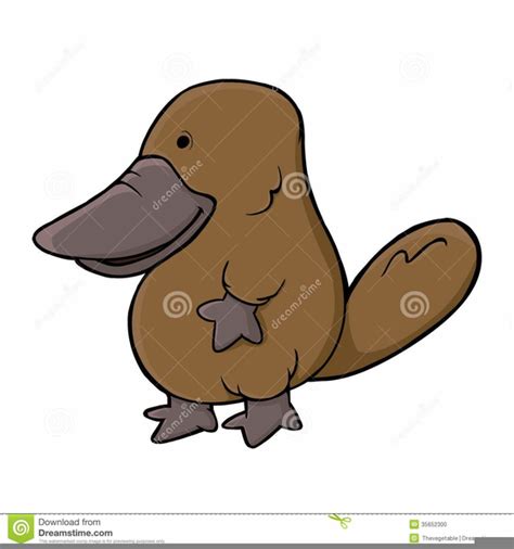 Platypus Free Clipart Free Images At Vector Clip Art