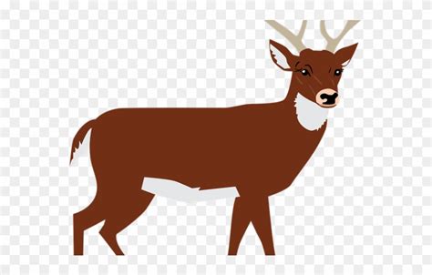Deer Clipart Pictures 10 Free Cliparts Download Images On Clipground 2023