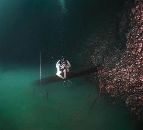 Fish Like A Boss Places To Travel Underwater River Mexico Tourism