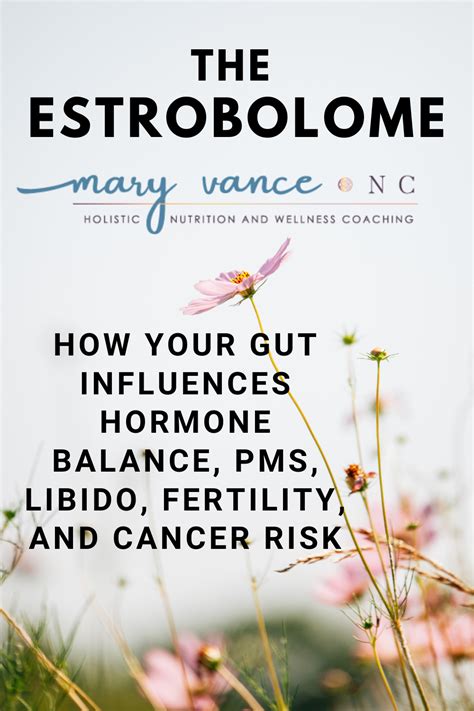 The Estrobolome How Your Gut Influences Your Hormones Mary Vance Nc