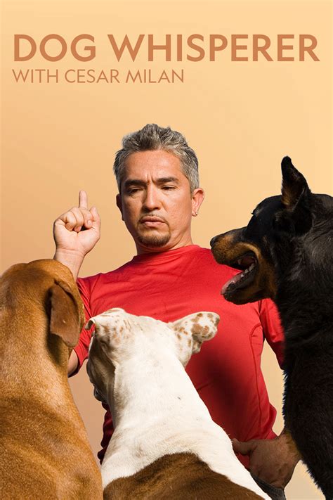Dog Whisperer With Cesar Millan Where To Watch And Stream Tv Guide