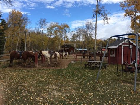 Jasper Riding Stables 2019 All You Need To Know Before You Go With