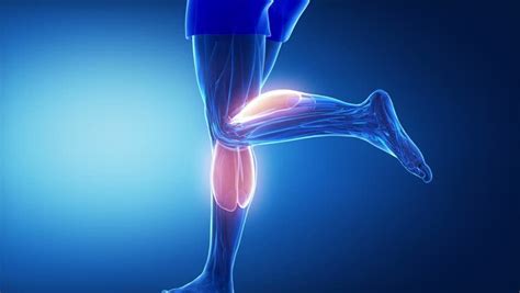 Physical Therapists Guide To Calf Strain