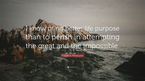 Friedrich Nietzsche Quote “i Know Of No Better Life Purpose Than To