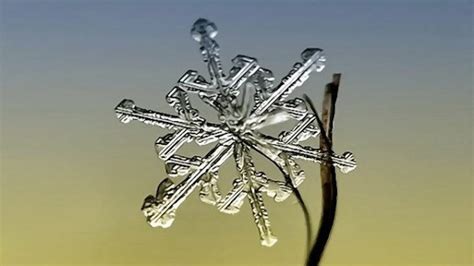 These Macro Pictures Of Snowflakes Are Stunningly Beautiful