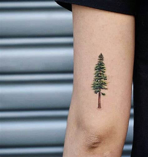 Pin By Lorette By Linae On Tattoos Tree Tattoo Small Tree Tattoo