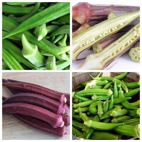 You should try that herb. Okra, Lady's fingers - set of seeds of 2 vegetable plants ...