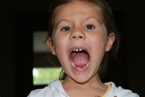 The Seattlite Family Ava Lost Another Tooth This One Naturally
