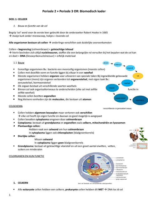 Samenvatting Celleer Erfelijkheid En Zenuwstelsel Periode