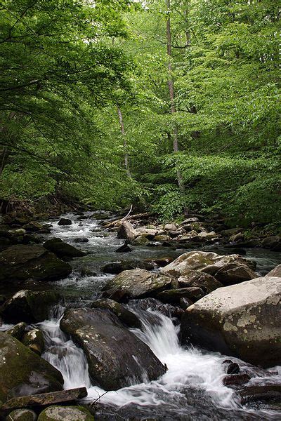 Streams Of The Great Smoky Mountains National Park Photo By Ianare
