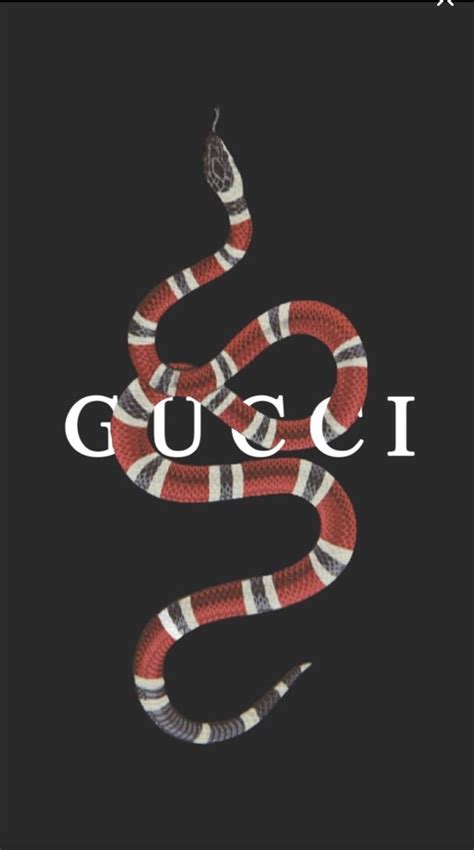 Gucci Aesthetic Wallpapers Top Free Gucci Aesthetic Backgrounds
