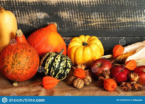 Autumn Harvest Thanksgiving Day Stock Photo Image Of Country