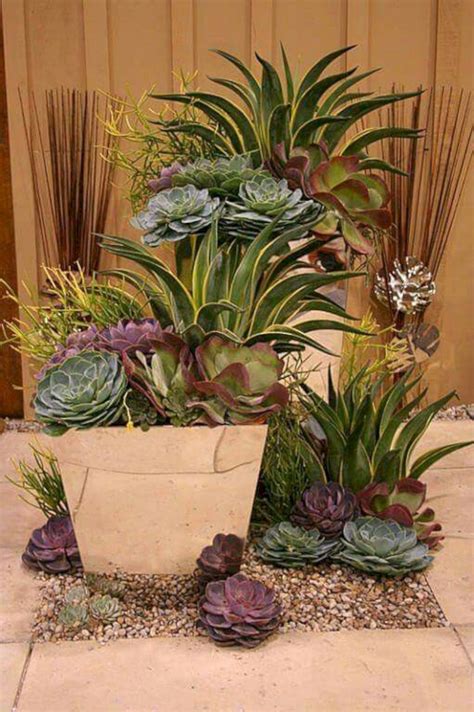 21 Succulent Container Garden Ideas You Cannot Miss Sharonsable