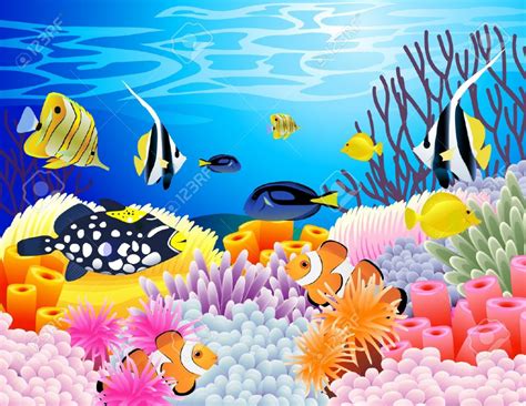 Download High Quality Under The Sea Clipart Coral Reef Transparent Png