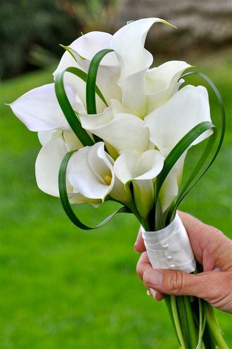 Beautiful Wedding Bouquet Of White Calla Lilies And Green Bear Grass