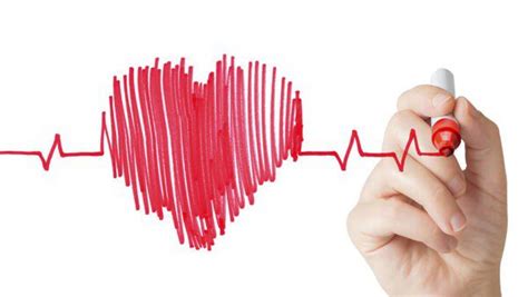 Conoce Los Factores Que Pueden Influir En La Salud De Tu Corazón