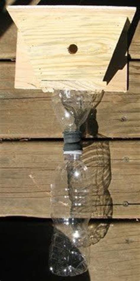 How to get rid of carpenter bees with brown paper bag. Getting Rid of Carpenter Bees | Carpenter bee