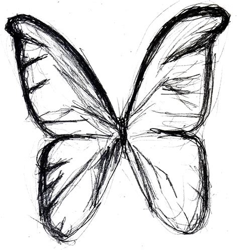 Butterfly Pencil Drawing At Getdrawings Free Download
