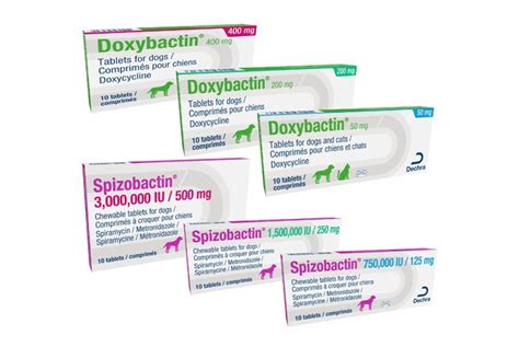 Dechra Launches Two New Antibiotics For Cats And Dogs Vetsurgeon News