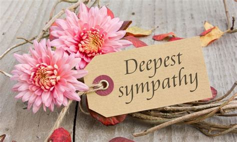 Proper Etiquette For Sending Funeral And Sympathy Flowers Arlington Media