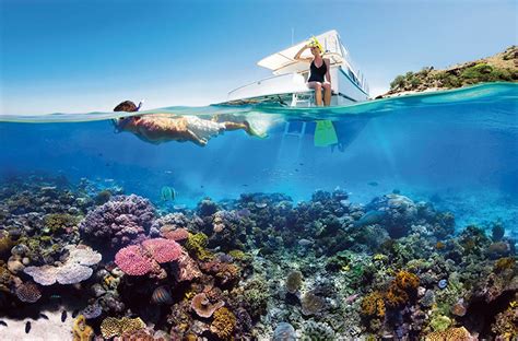 5 Things To Do At The Great Barrier Reef Verve Magazine